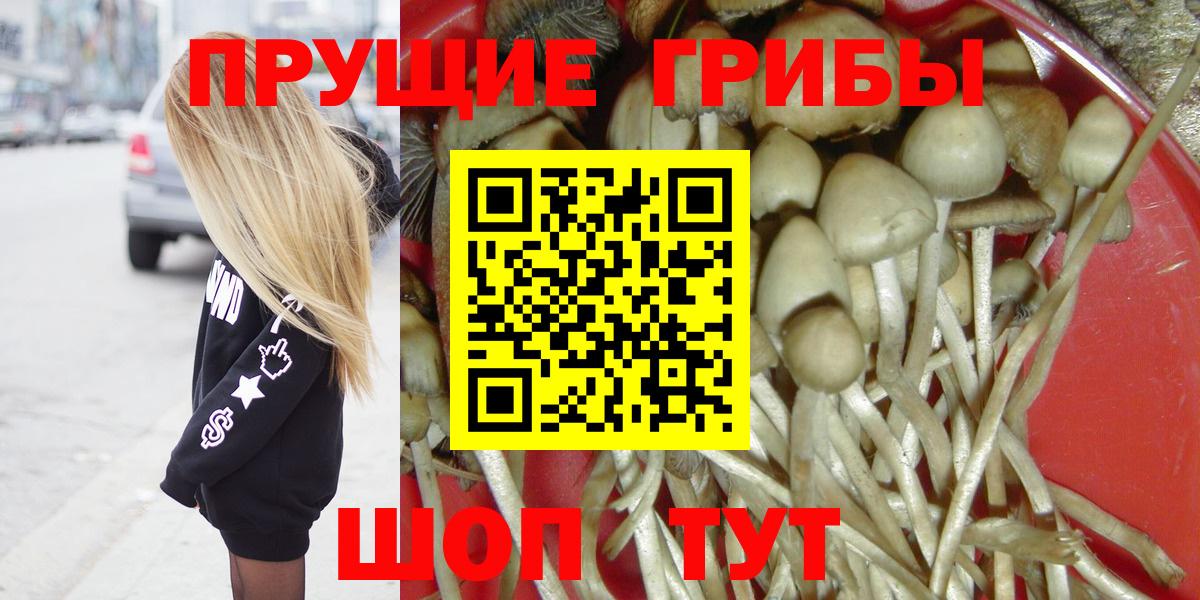 Пугачёв  Галлюциногенные грибы мухоморы  продажа наркотиков  Вход с VPN 